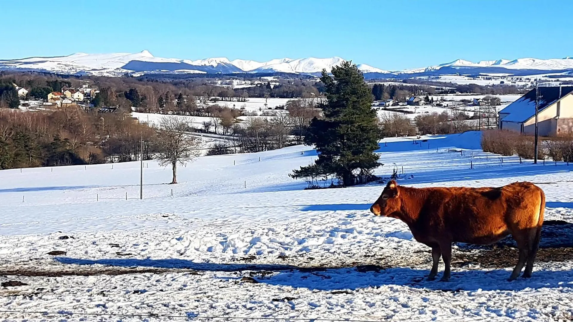 Vacances A La Campagne 4 Etoiles A 30Min Des Pistes De Ski Mont Dore Sancy Messeix Apartmán